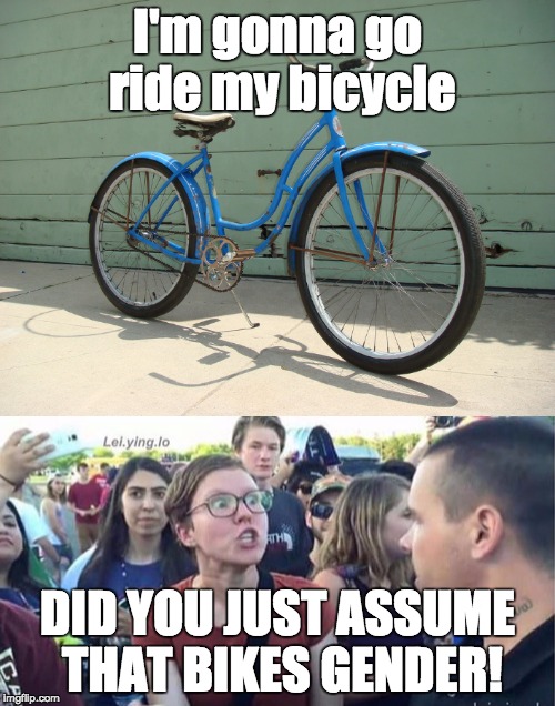 Did you just assume | I'm gonna go ride my bicycle; DID YOU JUST ASSUME THAT BIKES GENDER! | image tagged in bicycle,did you just assume my gender,funny,donald trump | made w/ Imgflip meme maker