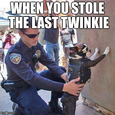 WHEN YOU STOLE THE LAST TWINKIE | made w/ Imgflip meme maker