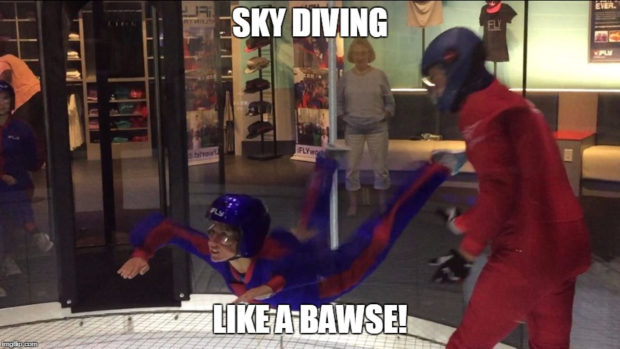 SKY DIVING; LIKE A BAWSE! | image tagged in sky diving | made w/ Imgflip meme maker
