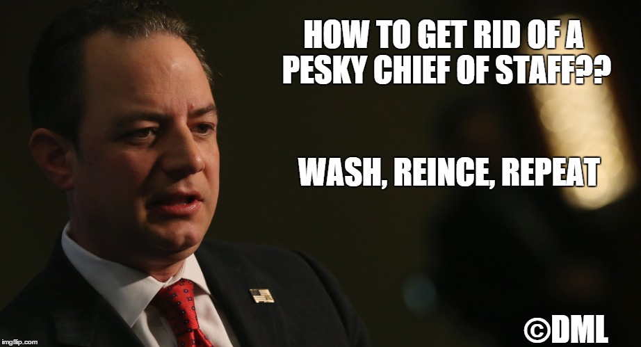 REINCE PRIEBUS  |  HOW TO GET RID OF A PESKY CHIEF OF STAFF?? WASH, REINCE, REPEAT; ©DML | image tagged in reince priebus chief of staff,wash rinse repeat | made w/ Imgflip meme maker