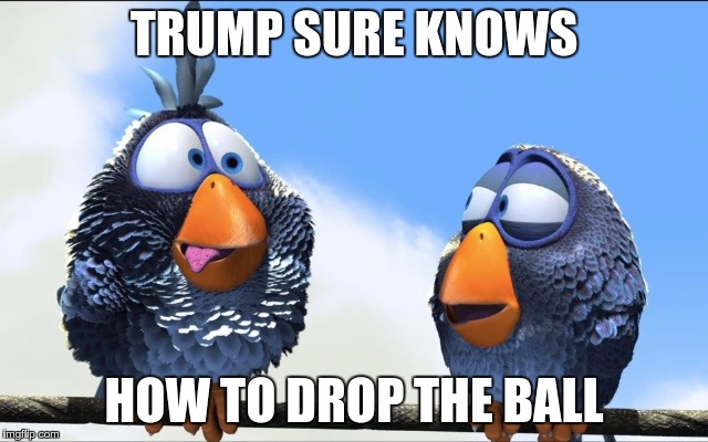 Blue Birds | TRUMP SURE KNOWS HOW TO DROP THE BALL | image tagged in blue birds | made w/ Imgflip meme maker