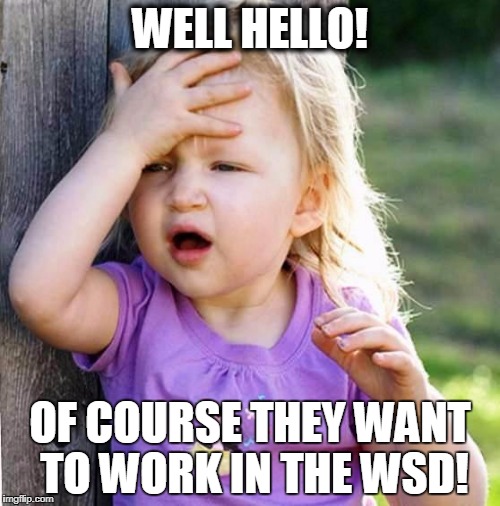 duh | WELL HELLO! OF COURSE THEY WANT TO WORK IN THE WSD! | image tagged in duh | made w/ Imgflip meme maker