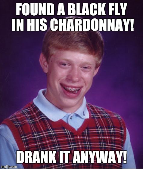 Bad Luck Brian Meme | FOUND A BLACK FLY IN HIS CHARDONNAY! DRANK IT ANYWAY! | image tagged in memes,bad luck brian | made w/ Imgflip meme maker