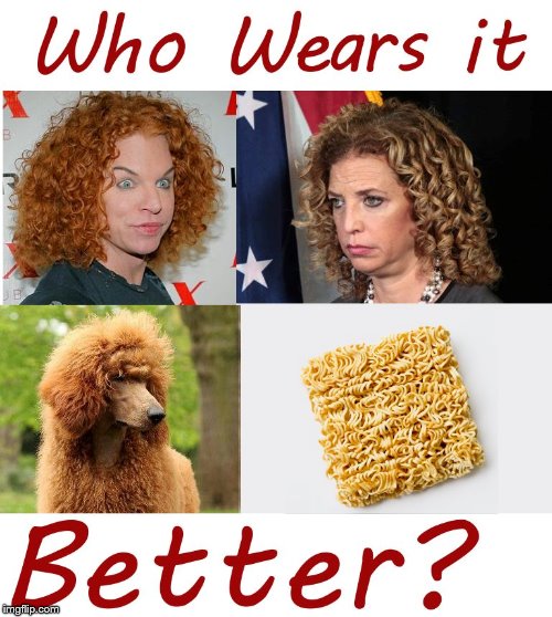 Who wears it better? | image tagged in debbie wasserman schultz,carrot topp,dogs,poodle,political meme | made w/ Imgflip meme maker