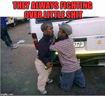 THEY ALWAYS FIGHTING OVER LITTLE SHIT | image tagged in fight | made w/ Imgflip meme maker