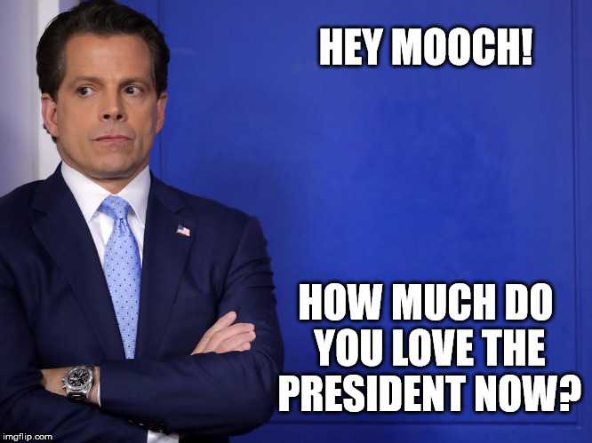 Hey Mooch! | HEY MOOCH! HOW MUCH DO YOU LOVE THE PRESIDENT NOW? | image tagged in anthony scaramucci,white house | made w/ Imgflip meme maker