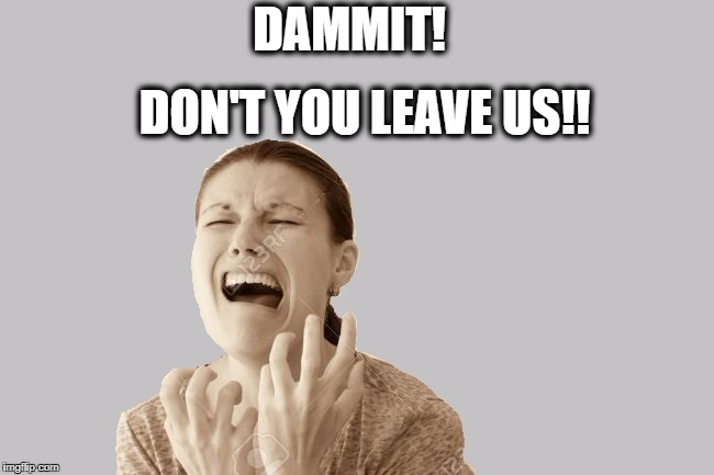 DAMMIT! DON'T YOU LEAVE US!! | made w/ Imgflip meme maker