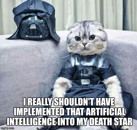 Darth Cat | I REALLY SHOULDN'T HAVE IMPLEMENTED THAT ARTIFICIAL INTELLIGENCE INTO MY DEATH STAR | image tagged in darth cat | made w/ Imgflip meme maker