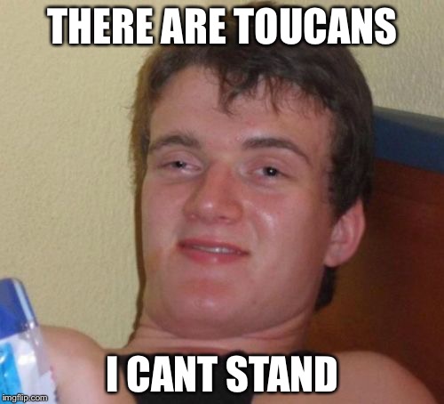 10 Guy Meme | THERE ARE TOUCANS; I CANT STAND | image tagged in memes,10 guy | made w/ Imgflip meme maker
