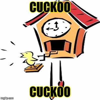 Cuckoo | CUCKOO CUCKOO | image tagged in cuckoo | made w/ Imgflip meme maker