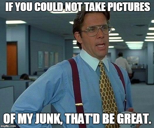 That Would Be Great Meme | IF YOU COULD NOT TAKE PICTURES OF MY JUNK, THAT'D BE GREAT. | image tagged in memes,that would be great | made w/ Imgflip meme maker