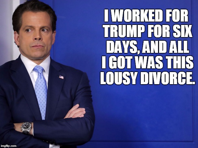 Unamused Scaramucci |  I WORKED FOR TRUMP FOR SIX DAYS, AND ALL I GOT WAS THIS LOUSY DIVORCE. | image tagged in anthony scaramucci,donald trump,winning | made w/ Imgflip meme maker