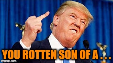 YOU ROTTEN SON OF A . . . | made w/ Imgflip meme maker