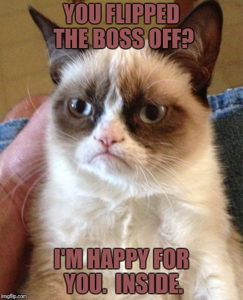 Grumpy Cat Meme | YOU FLIPPED THE BOSS OFF? I'M HAPPY FOR YOU.  INSIDE. | image tagged in memes,grumpy cat | made w/ Imgflip meme maker