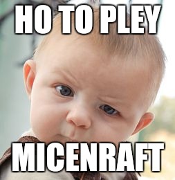 Skeptical Baby | HO TO PLEY; MICENRAFT | image tagged in memes,skeptical baby | made w/ Imgflip meme maker