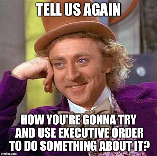 Creepy Condescending Wonka Meme | TELL US AGAIN HOW YOU'RE GONNA TRY AND USE EXECUTIVE ORDER TO DO SOMETHING ABOUT IT? | image tagged in memes,creepy condescending wonka | made w/ Imgflip meme maker