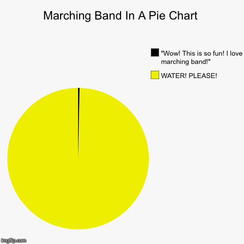 Pie Chart Wow