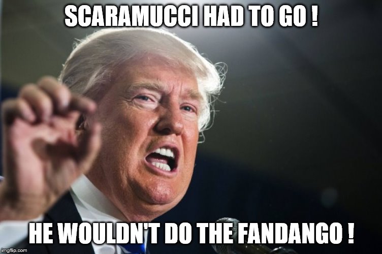 Donald Trump Scaramucci  | SCARAMUCCI HAD TO GO ! HE WOULDN'T DO THE FANDANGO ! | image tagged in donald trump | made w/ Imgflip meme maker