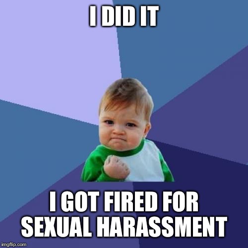 I DID IT I GOT FIRED FOR SEXUAL HARASSMENT | image tagged in memes,success kid | made w/ Imgflip meme maker