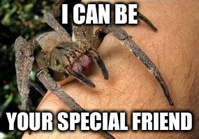 Friends | I CAN BE; YOUR SPECIAL FRIEND | image tagged in funny memes,funny,memes,friends,overly attached girlfriend | made w/ Imgflip meme maker