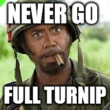 Never go full retard | NEVER GO; FULL TURNIP | image tagged in never go full retard | made w/ Imgflip meme maker