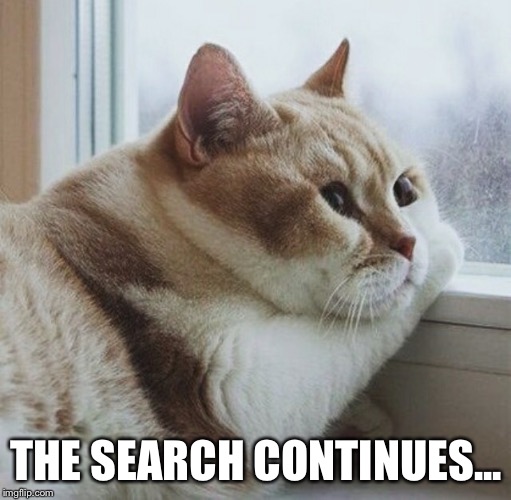 THE SEARCH CONTINUES... | made w/ Imgflip meme maker