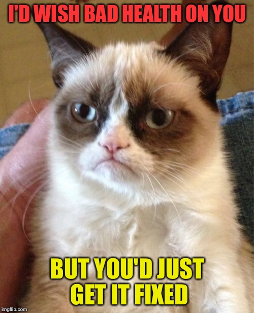 Grumpy Cat Meme | I'D WISH BAD HEALTH ON YOU BUT YOU'D JUST GET IT FIXED | image tagged in memes,grumpy cat | made w/ Imgflip meme maker