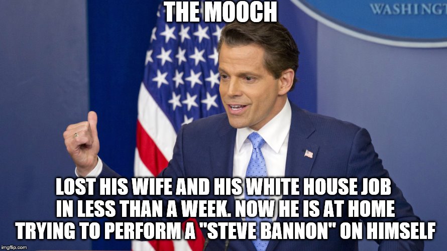THE MOOCH; LOST HIS WIFE AND HIS WHITE HOUSE JOB IN LESS THAN A WEEK. NOW HE IS AT HOME TRYING TO PERFORM A "STEVE BANNON" ON HIMSELF | image tagged in mooch | made w/ Imgflip meme maker