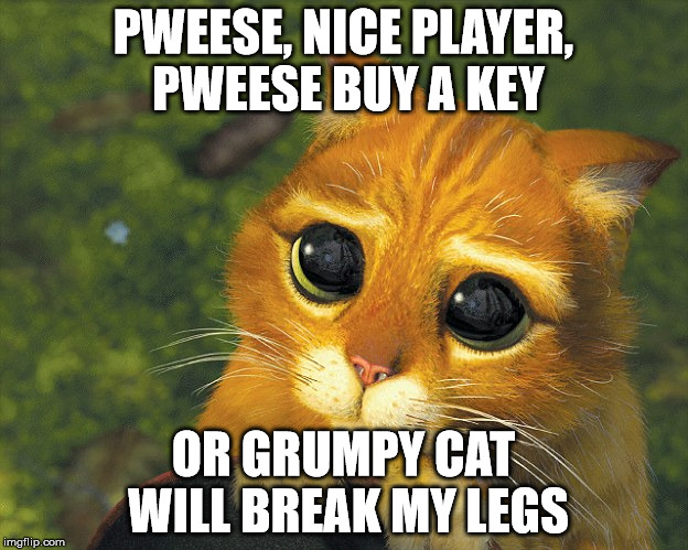 PWEESE, NICE PLAYER, PWEESE BUY A KEY; OR GRUMPY CAT WILL BREAK MY LEGS | made w/ Imgflip meme maker