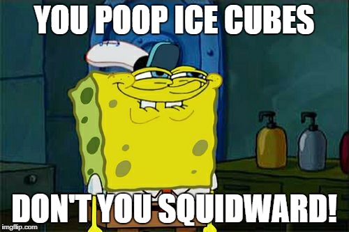Don't You Squidward Meme | YOU POOP ICE CUBES DON'T YOU SQUIDWARD! | image tagged in memes,dont you squidward | made w/ Imgflip meme maker