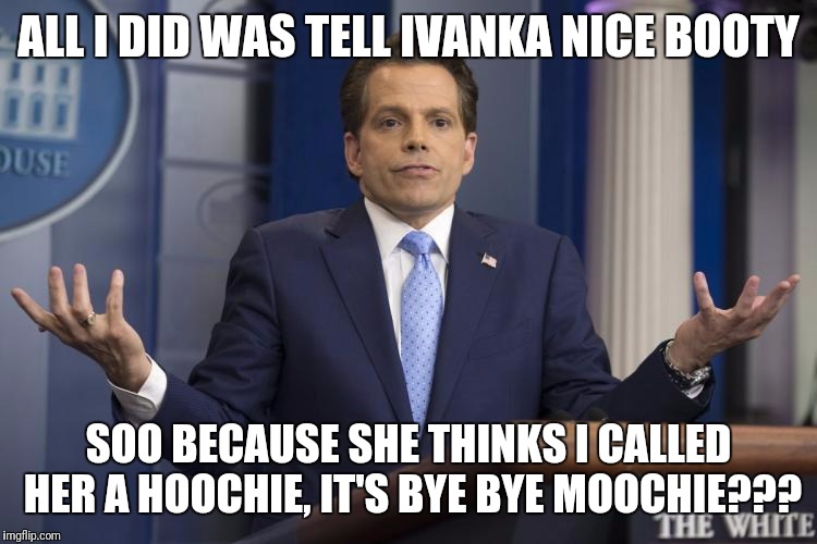 Farewell Moochie | ALL I DID WAS TELL IVANKA NICE BOOTY; SOO BECAUSE SHE THINKS I CALLED HER A HOOCHIE, IT'S BYE BYE MOOCHIE??? | image tagged in white house,memes,trump,comedy | made w/ Imgflip meme maker