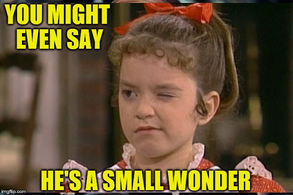 YOU MIGHT EVEN SAY HE'S A SMALL WONDER | made w/ Imgflip meme maker