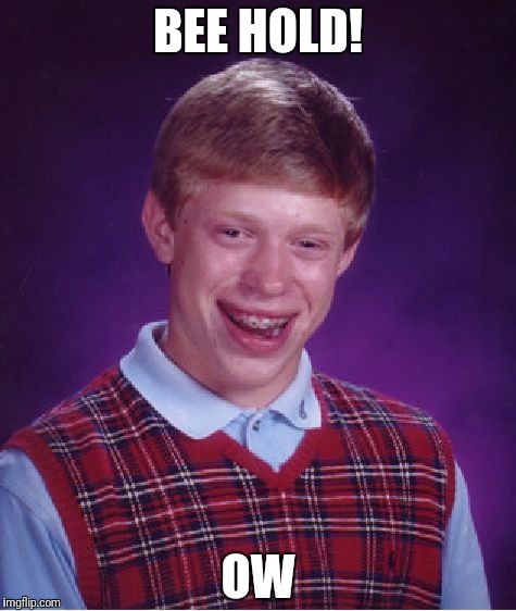 Bad Luck Brian Meme | BEE HOLD! OW | image tagged in memes,bad luck brian | made w/ Imgflip meme maker