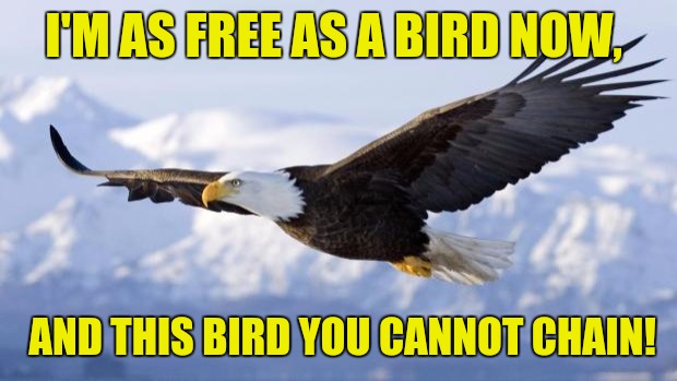 eagle | I'M AS FREE AS A BIRD NOW, AND THIS BIRD YOU CANNOT CHAIN! | image tagged in eagle | made w/ Imgflip meme maker