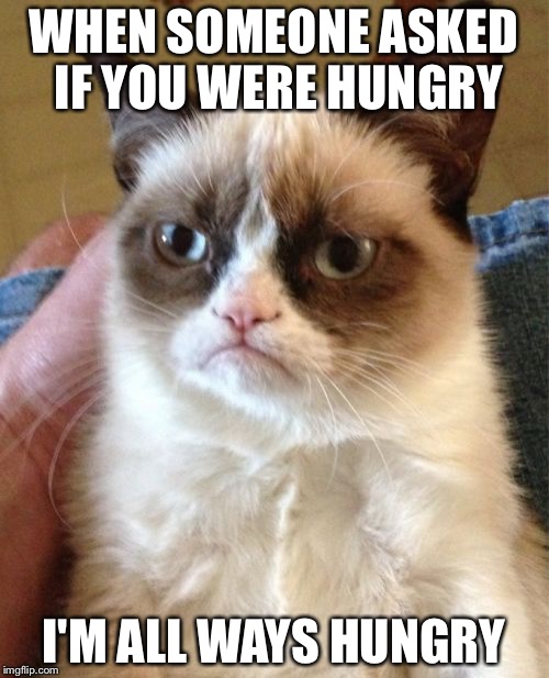 Grumpy Cat Meme | WHEN SOMEONE ASKED IF YOU WERE HUNGRY; I'M ALL WAYS HUNGRY | image tagged in memes,grumpy cat | made w/ Imgflip meme maker