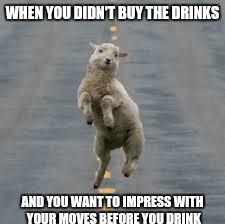 dancing sheep | WHEN YOU DIDN'T BUY THE DRINKS; AND YOU WANT TO IMPRESS WITH YOUR MOVES BEFORE YOU DRINK | image tagged in dancing sheep | made w/ Imgflip meme maker