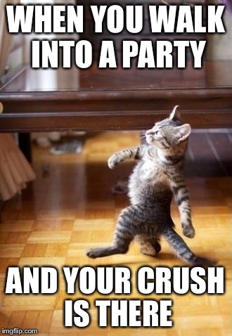 Cool Cat Stroll | WHEN YOU WALK INTO A PARTY; AND YOUR CRUSH IS THERE | image tagged in memes,cool cat stroll | made w/ Imgflip meme maker