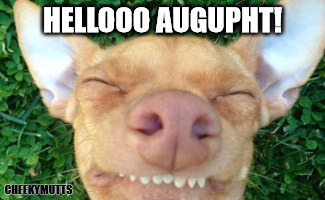Helloo Augupht | HELLOOO AUGUPHT! CHEEKYMUTTS | image tagged in summer tuna,august,phteven dog,phteven | made w/ Imgflip meme maker