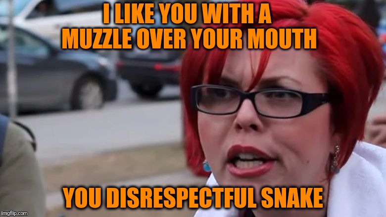  triggered | I LIKE YOU WITH A MUZZLE OVER YOUR MOUTH YOU DISRESPECTFUL SNAKE | image tagged in triggered | made w/ Imgflip meme maker