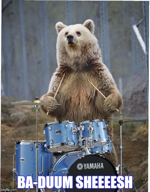 KJIU | image tagged in drummer bear | made w/ Imgflip meme maker