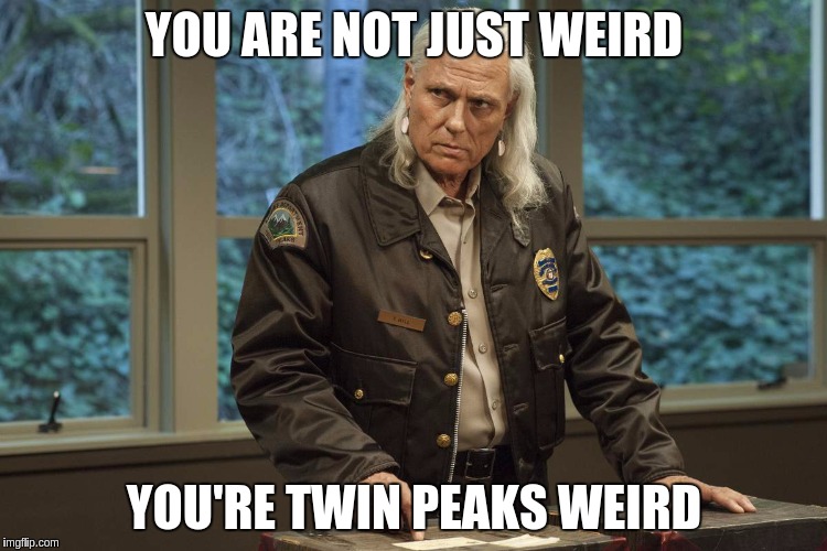 YOU ARE NOT JUST WEIRD; YOU'RE TWIN PEAKS WEIRD | image tagged in twin peaks | made w/ Imgflip meme maker
