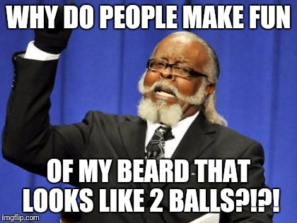 So what if my beard looks like balls?!?!?! | WHY DO PEOPLE MAKE FUN; OF MY BEARD THAT LOOKS LIKE 2 BALLS?!?! | image tagged in memes | made w/ Imgflip meme maker