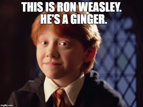 Ron Weasley | THIS IS RON WEASLEY.  HE'S A GINGER. | image tagged in ron weasley | made w/ Imgflip meme maker
