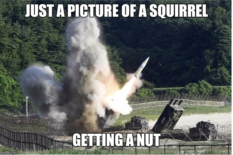 Isn't nature awesome | JUST A PICTURE OF A SQUIRREL; GETTING A NUT | image tagged in memes,squirrel,houston rockets | made w/ Imgflip meme maker