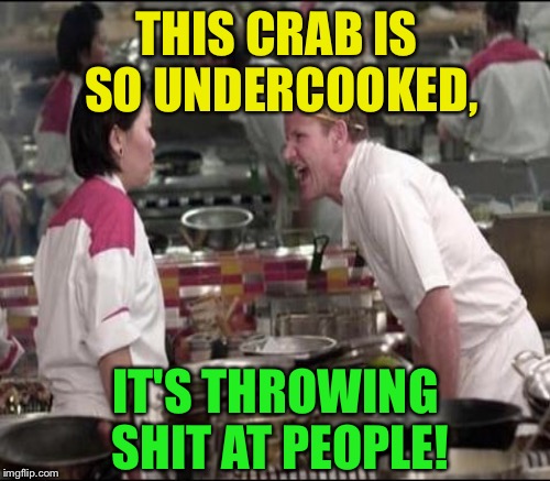 THIS CRAB IS SO UNDERCOOKED, IT'S THROWING SHIT AT PEOPLE! | made w/ Imgflip meme maker