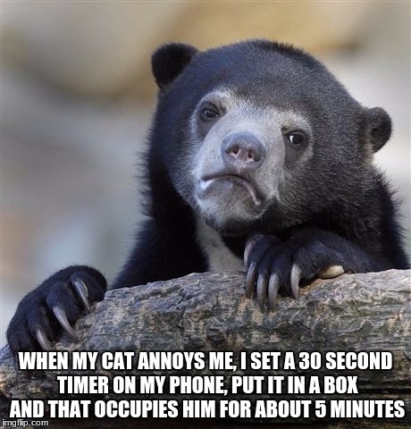 Confession Bear | WHEN MY CAT ANNOYS ME, I SET A 30 SECOND TIMER ON MY PHONE, PUT IT IN A BOX AND THAT OCCUPIES HIM FOR ABOUT 5 MINUTES | image tagged in memes,confession bear | made w/ Imgflip meme maker