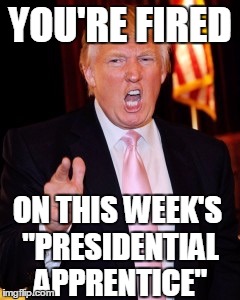 Donald Trump | YOU'RE FIRED; ON THIS WEEK'S "PRESIDENTIAL APPRENTICE" | image tagged in donald trump | made w/ Imgflip meme maker