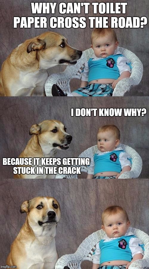 Dad Joke Dog | WHY CAN'T TOILET PAPER CROSS THE ROAD? I DON'T KNOW WHY? BECAUSE IT KEEPS GETTING STUCK IN THE CRACK | image tagged in memes,dad joke dog | made w/ Imgflip meme maker