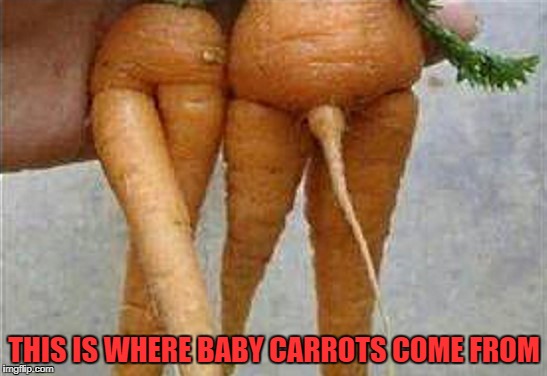 THIS IS WHERE BABY CARROTS COME FROM | image tagged in carrots | made w/ Imgflip meme maker