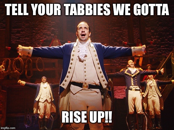 Alexander Hamilton | TELL YOUR TABBIES WE GOTTA; RISE UP!! | image tagged in alexander hamilton | made w/ Imgflip meme maker